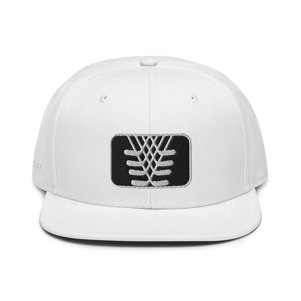 Zoom Snapback