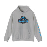 Bandits Hoodie - Grown Ups