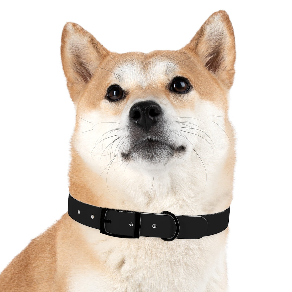 Dog Collar